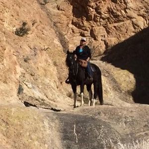 Meet your Posher, Terri